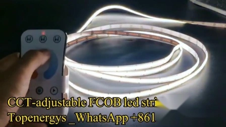 Bande flexible LED COB 360LED/M sans spots lumineux